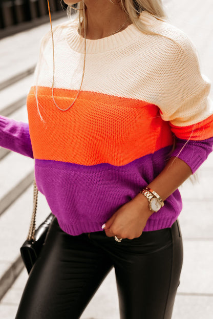 Brown Stripe Color Block Drop Shoulder Round Neck Knit Sweater