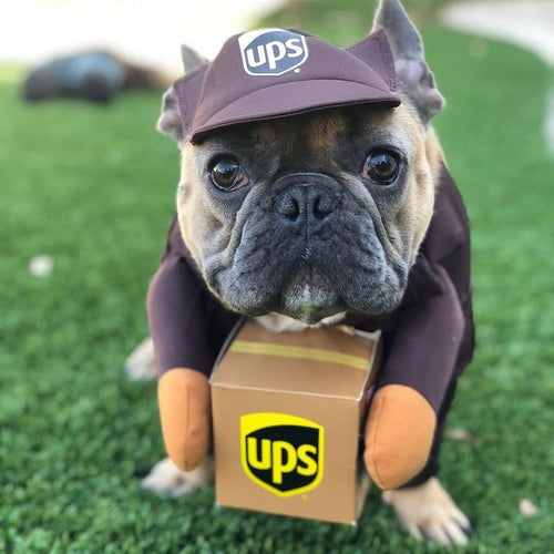 Cozy Critter Pet Apparel